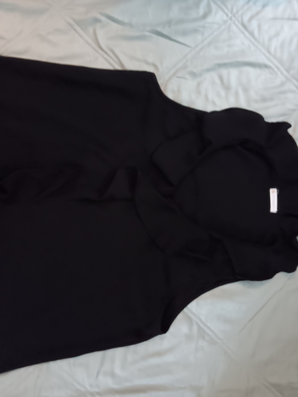 Sleeveless Black Ruffle Neck Blouse - Women